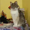 Отзыв от Зинаида Парамонова